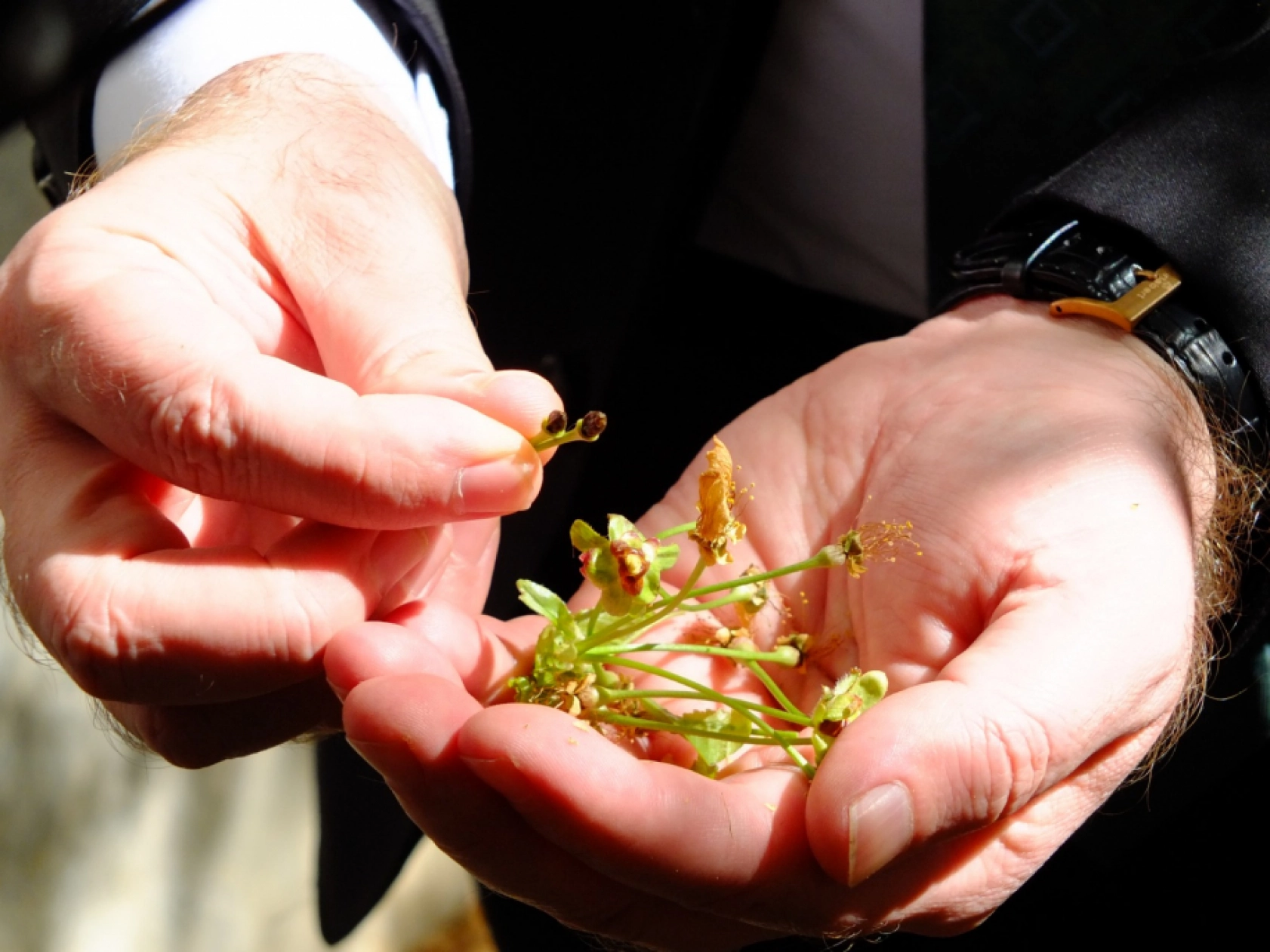 Gündüzbeyin Meydanı Acil yapılmalıdır, Kiraz Yandı desteklenmelidir