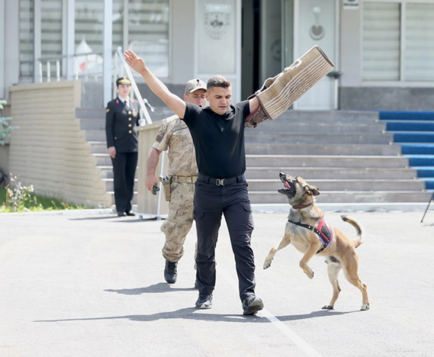 Jandarma Teşkilatının 186. kuruluş yıl dönümü 4 ilde kutlandı