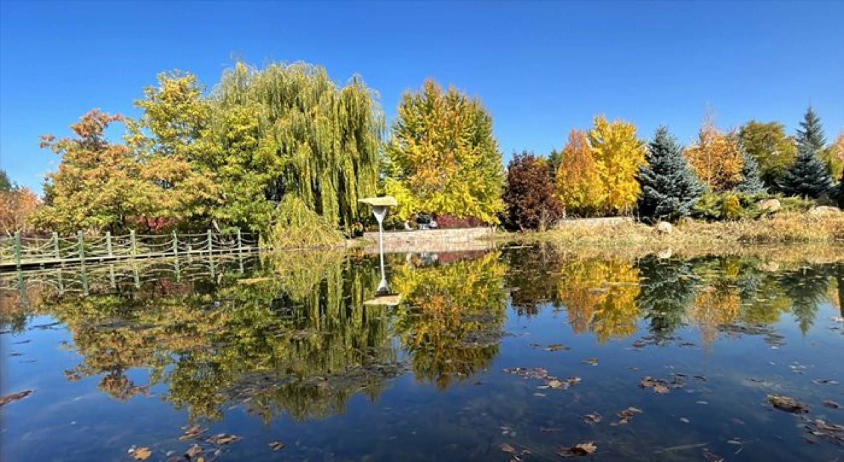 Atatürk Üniversitesi yerleşkesi ve Ata Botanik Bahçe'de sonbahar renkleri hakim oldu
