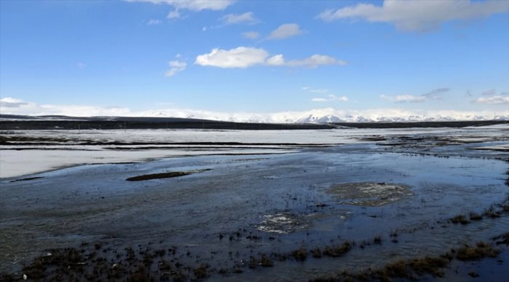 Havaların ısınmasıyla Sarıkamış'ta baharın güzellikleri ortaya çıktı
