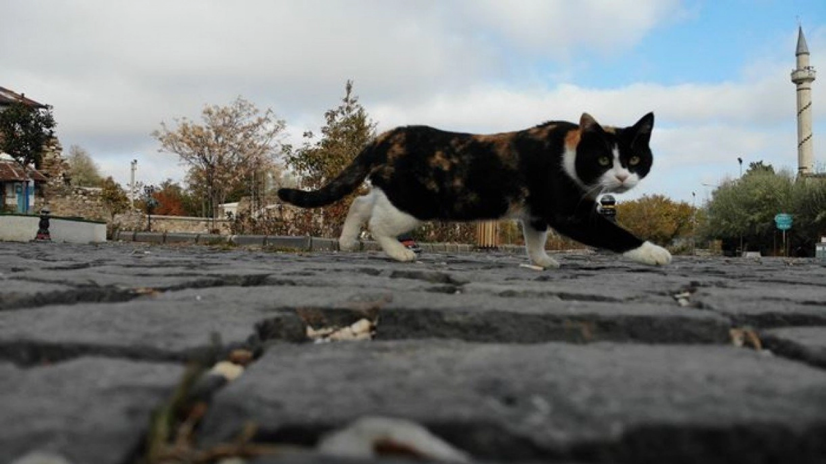 Harput'ta sonbahar güzelliği