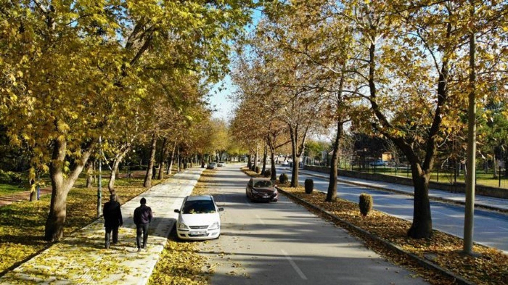 Elazığ'da sonbaharın son demleri görsel şölen oluşturuyor