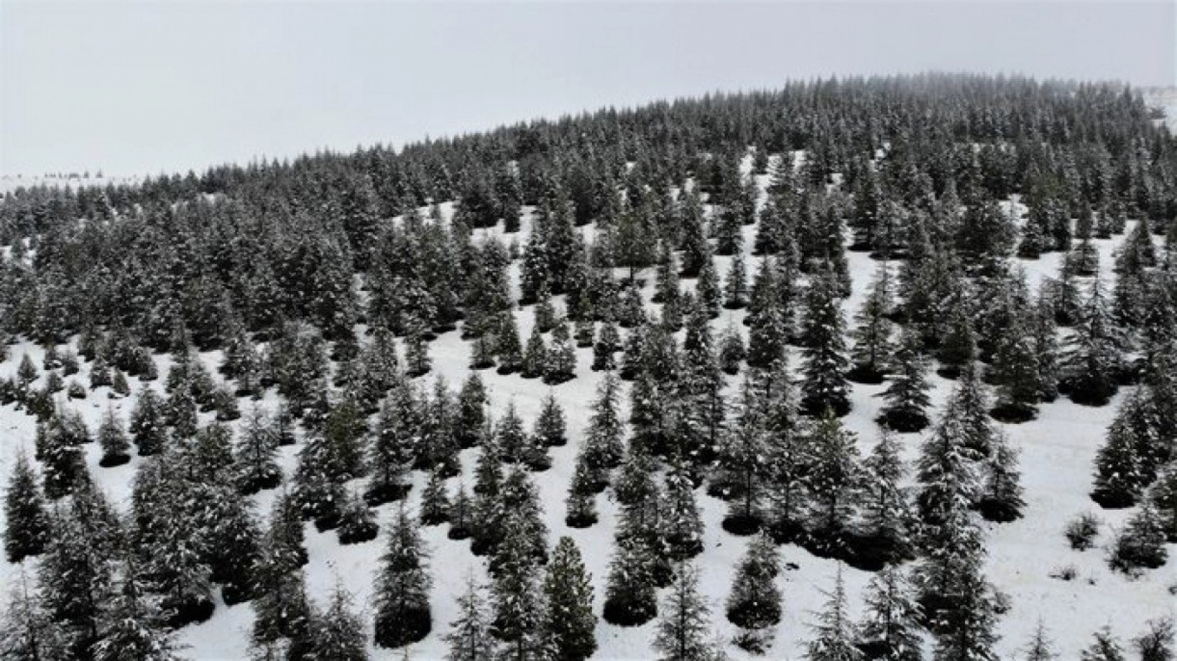Elazığ'da kar ve sis altındaki tarihin eşsiz manzarası