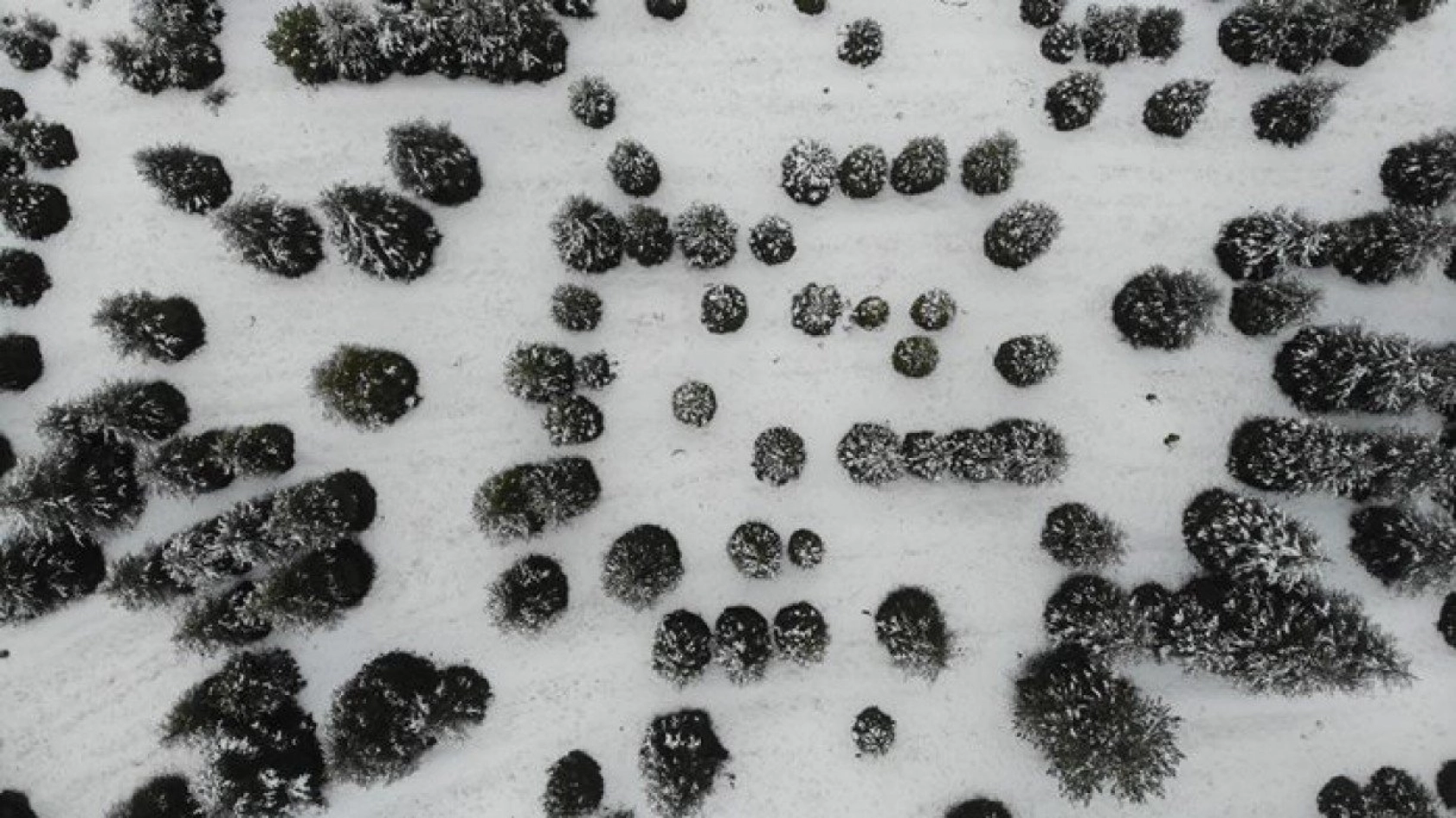 Elazığ'da kar ve sis altındaki tarihin eşsiz manzarası