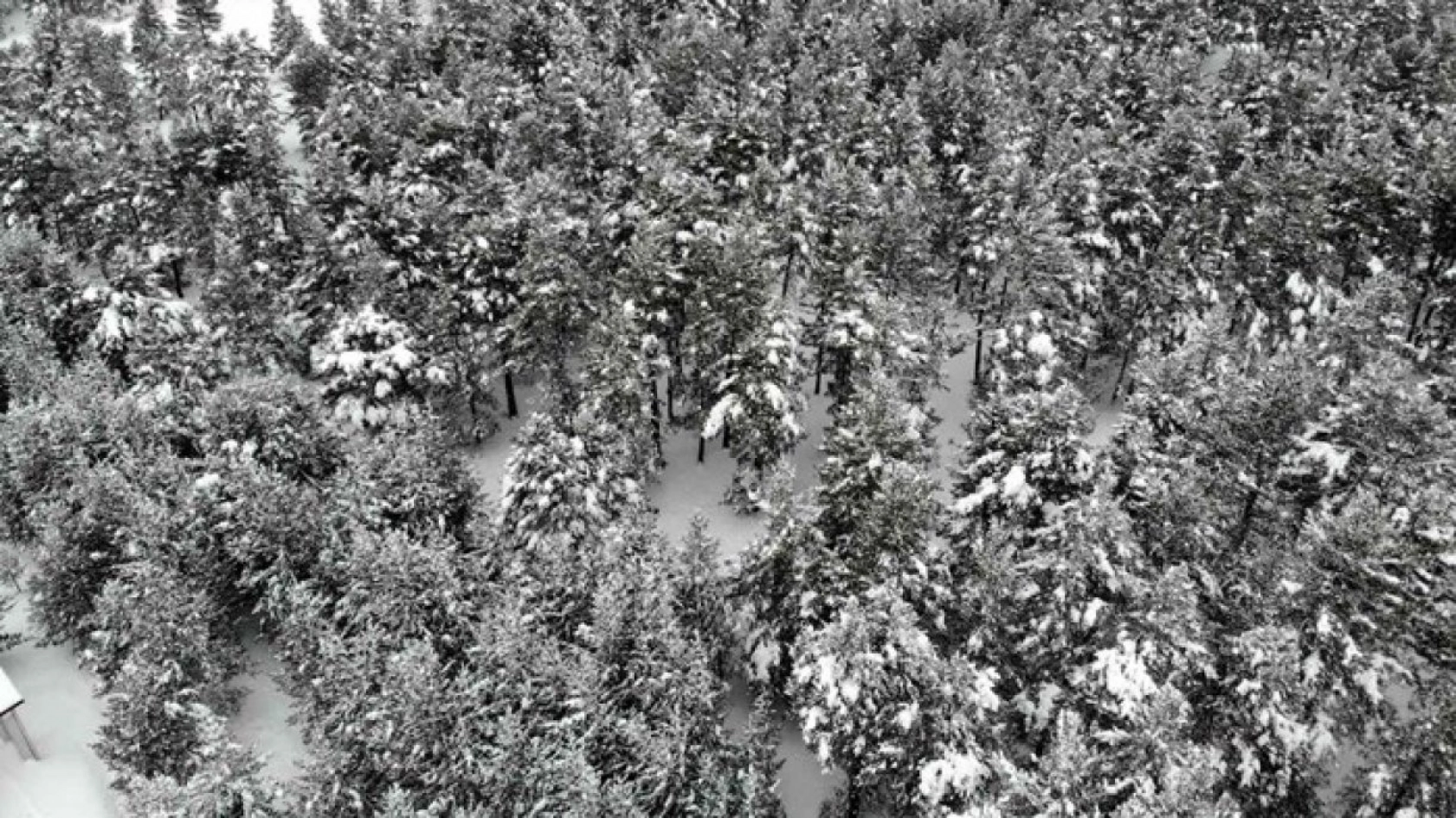 Dumanlı Tabiat Parkı, havadan görüntülendi