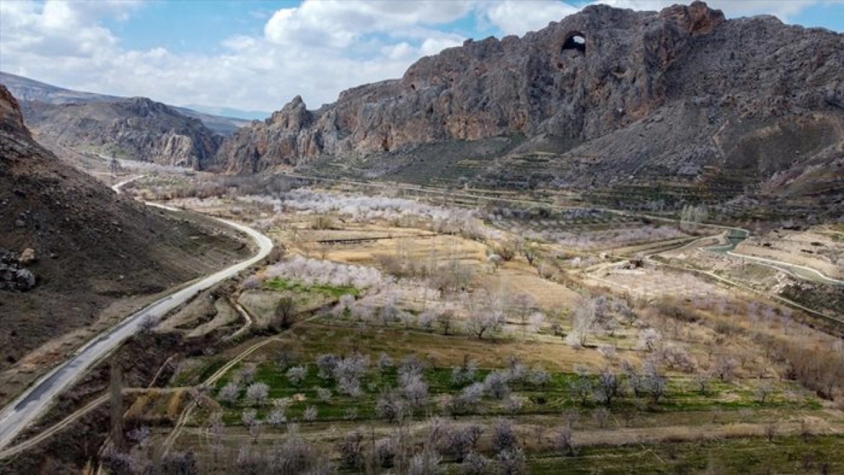 Malatya çiçek açtı