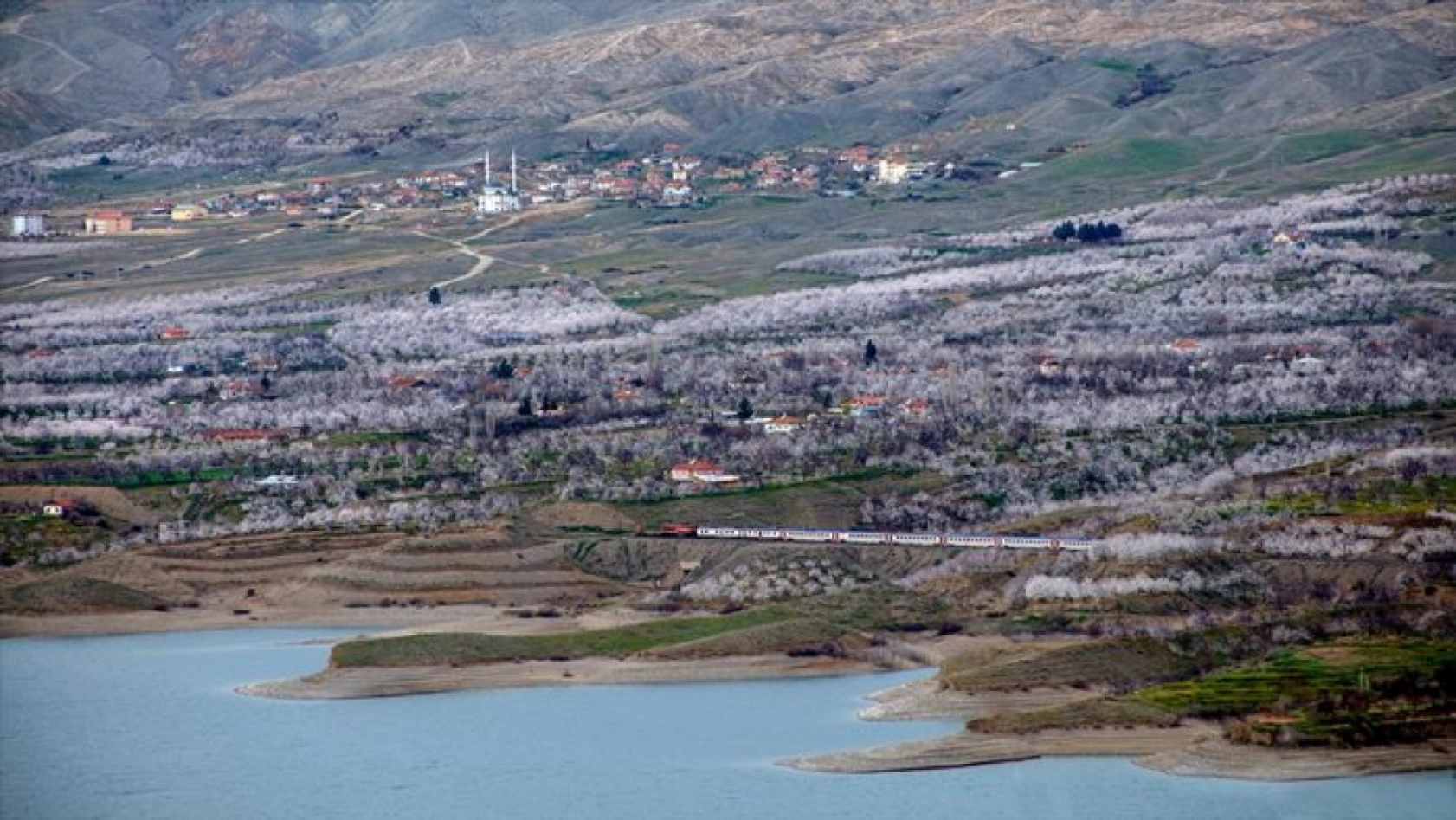 Malatya çiçek açtı