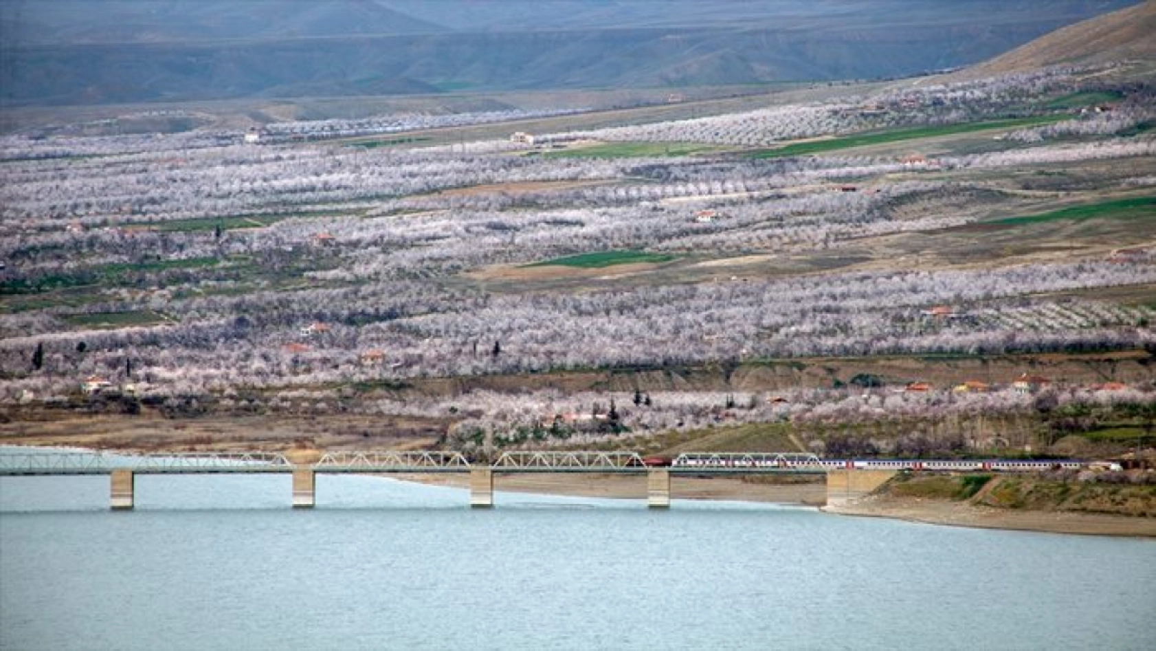Malatya çiçek açtı
