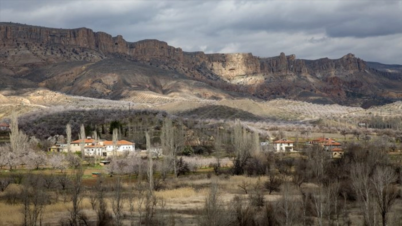 Malatya çiçek açtı