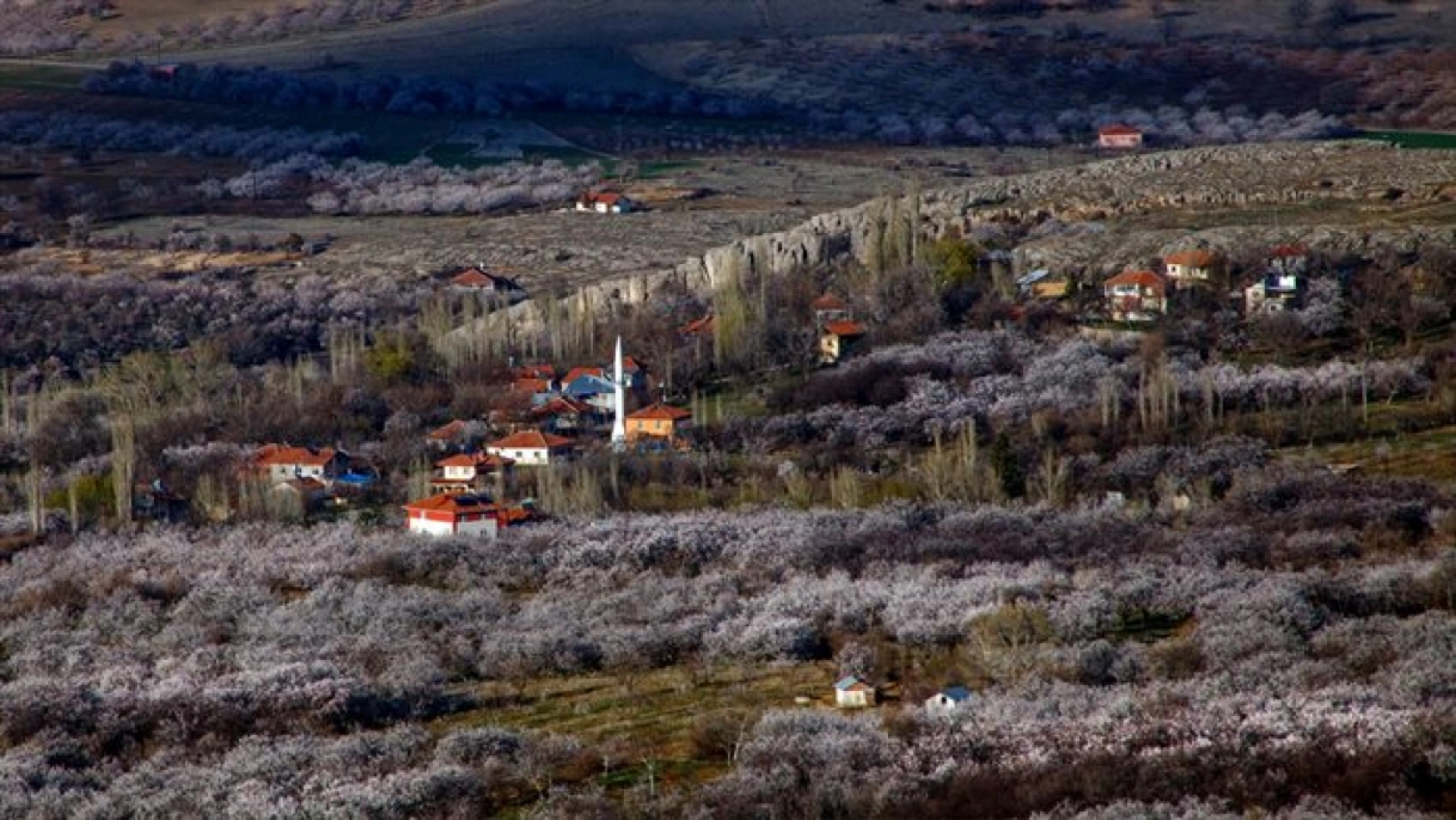 Malatya çiçek açtı