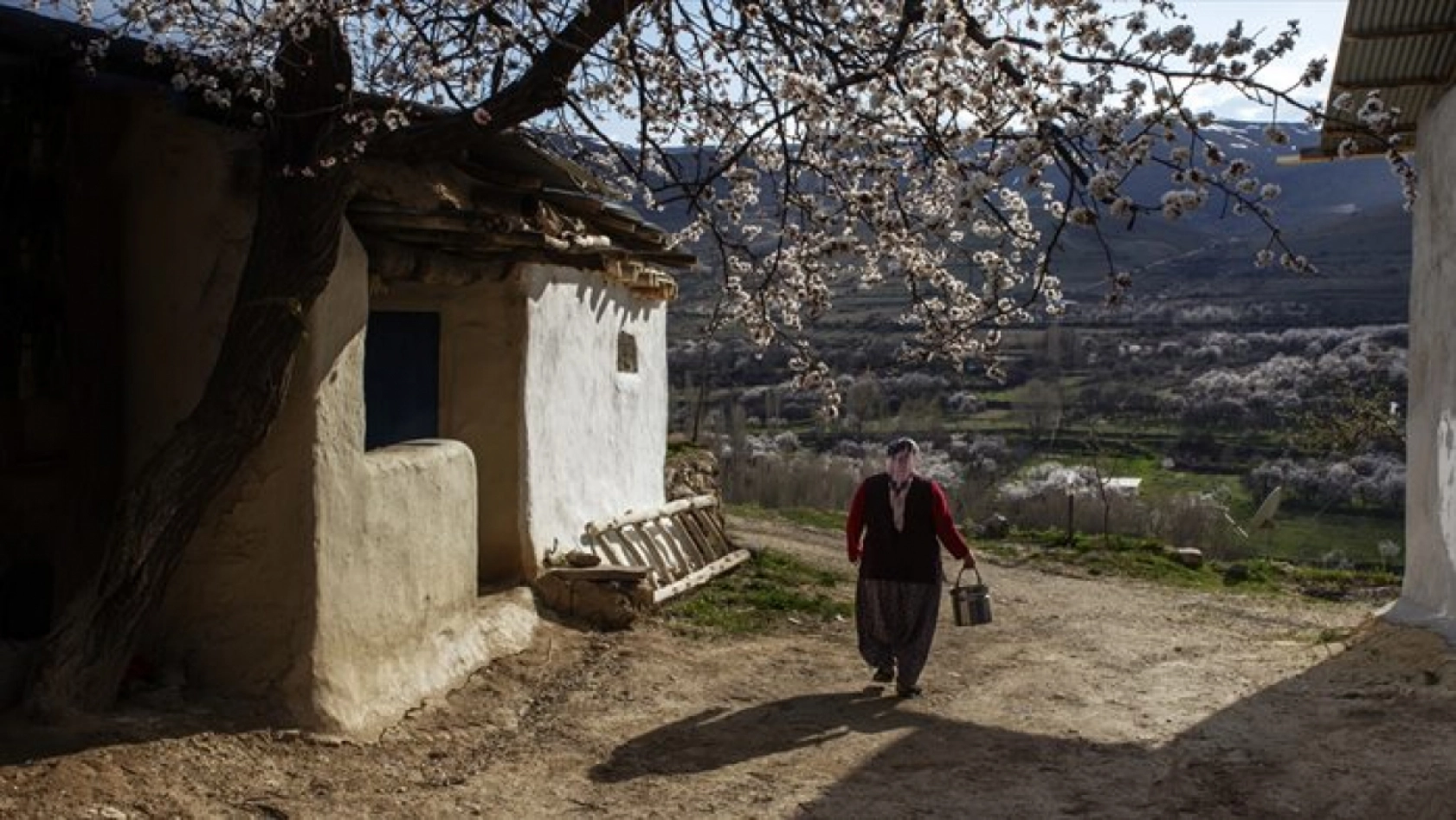 Malatya çiçek açtı
