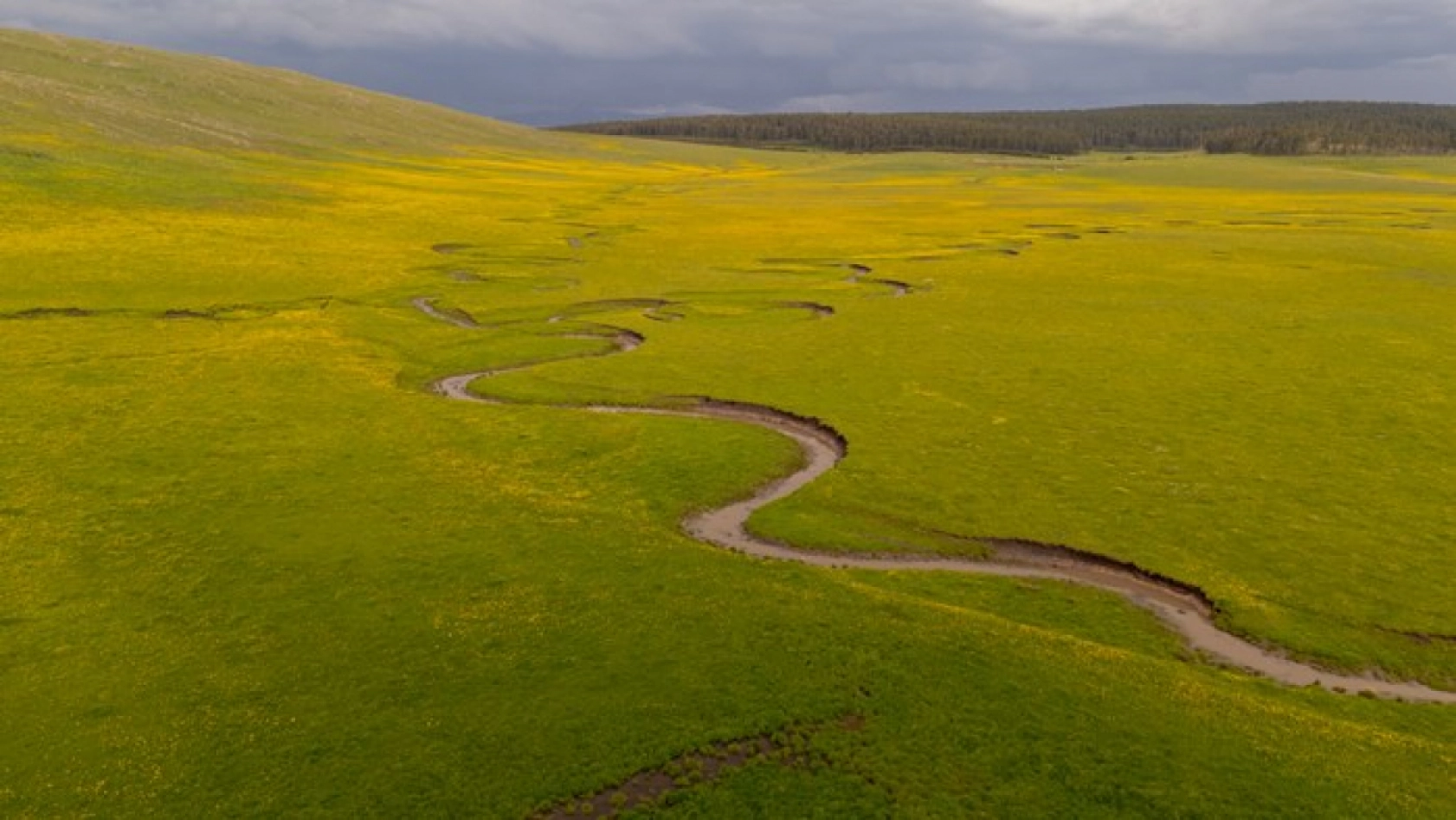 Ardahan'daki mendereslerde ilkbahar güzelliği