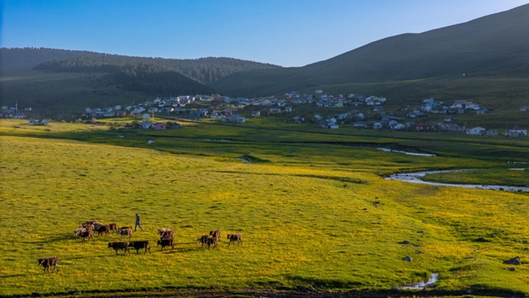 Ardahan'daki mendereslerde ilkbahar güzelliği