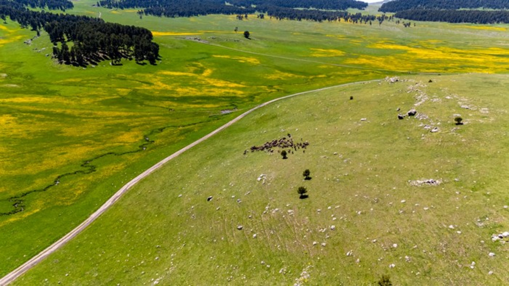 Ardahan'daki mendereslerde ilkbahar güzelliği