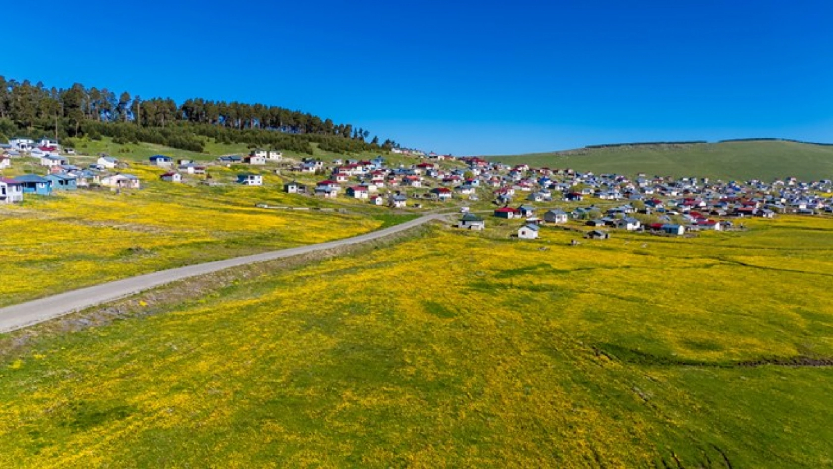 Ardahan'daki mendereslerde ilkbahar güzelliği