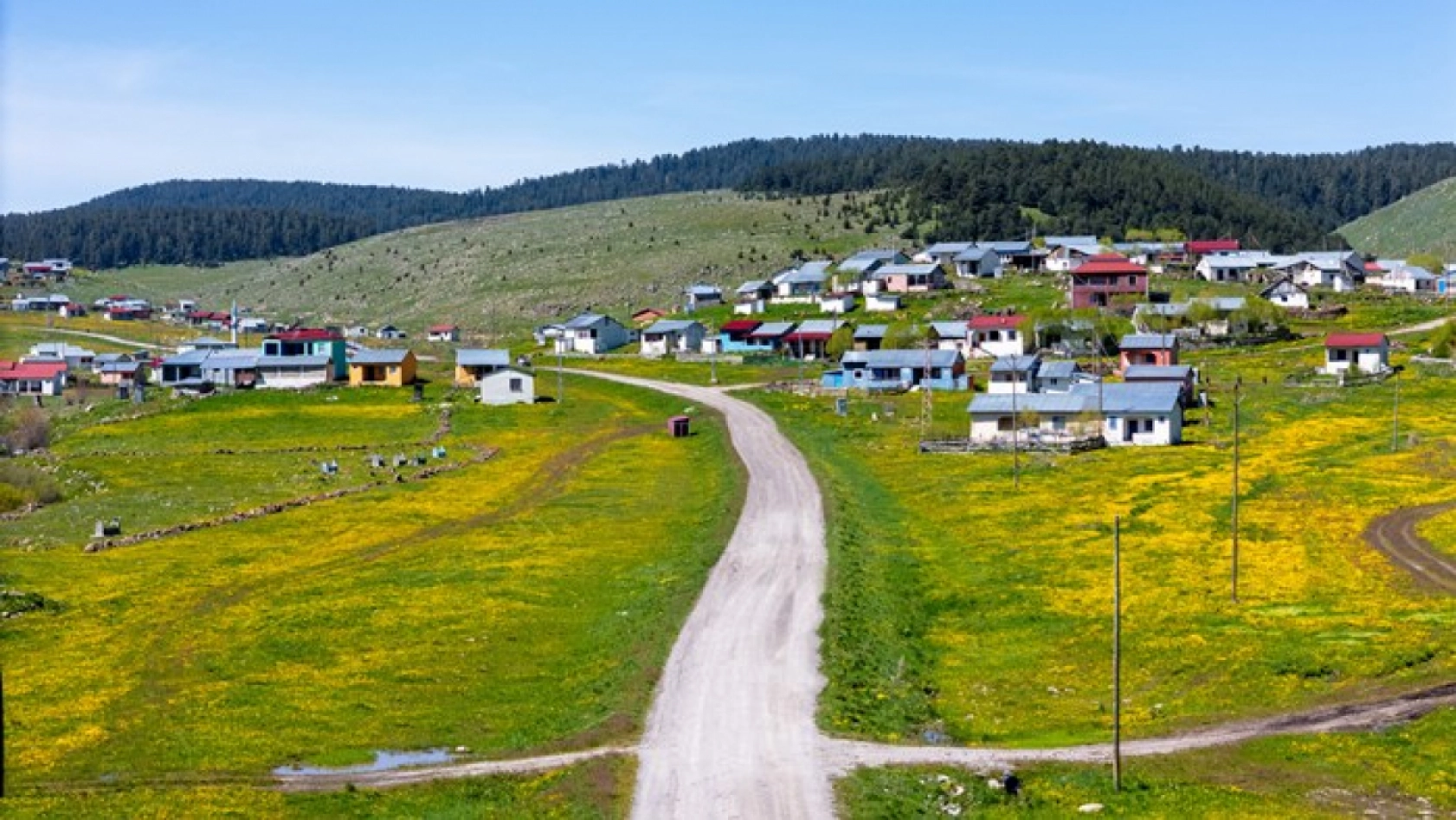 Ardahan'daki mendereslerde ilkbahar güzelliği