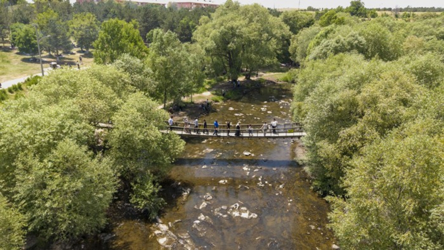 Binlerce kişi inci kefali göçünü izledi