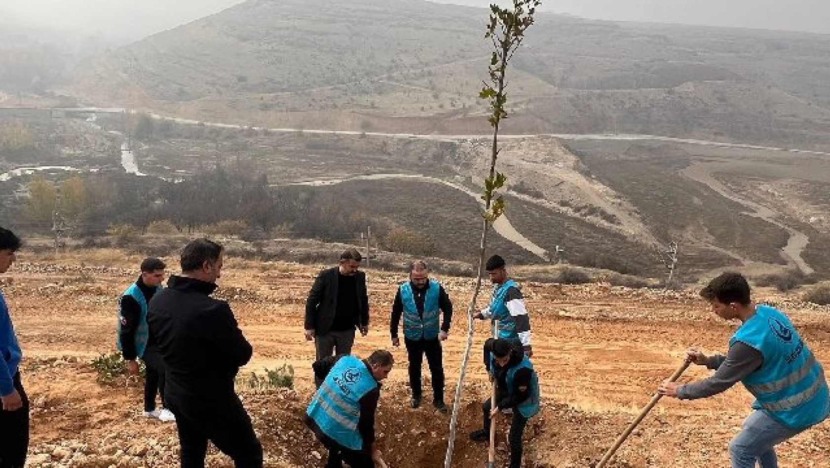 Ülkü Ocakları Malatya İl Başkanlığı'ndan Fidan Dikimi: Geleceğe Yeşil Miras