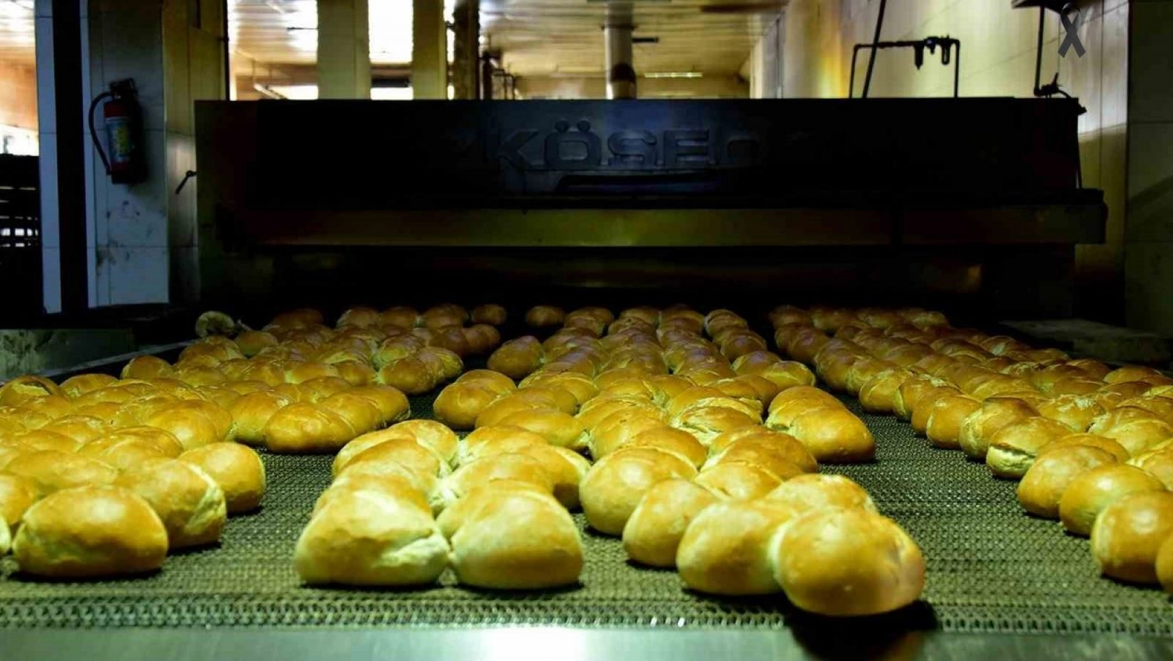 MEGSAŞ günlük 250 bin ekmek üretiyor
