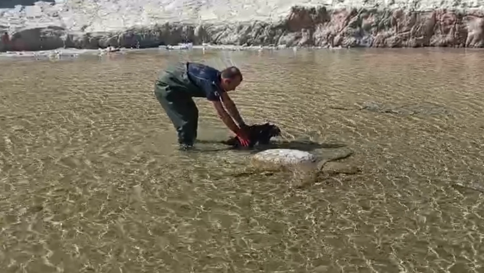 Darende'de Süs Havuzuna Düşen Yaralı Leylek Kurtarıldı