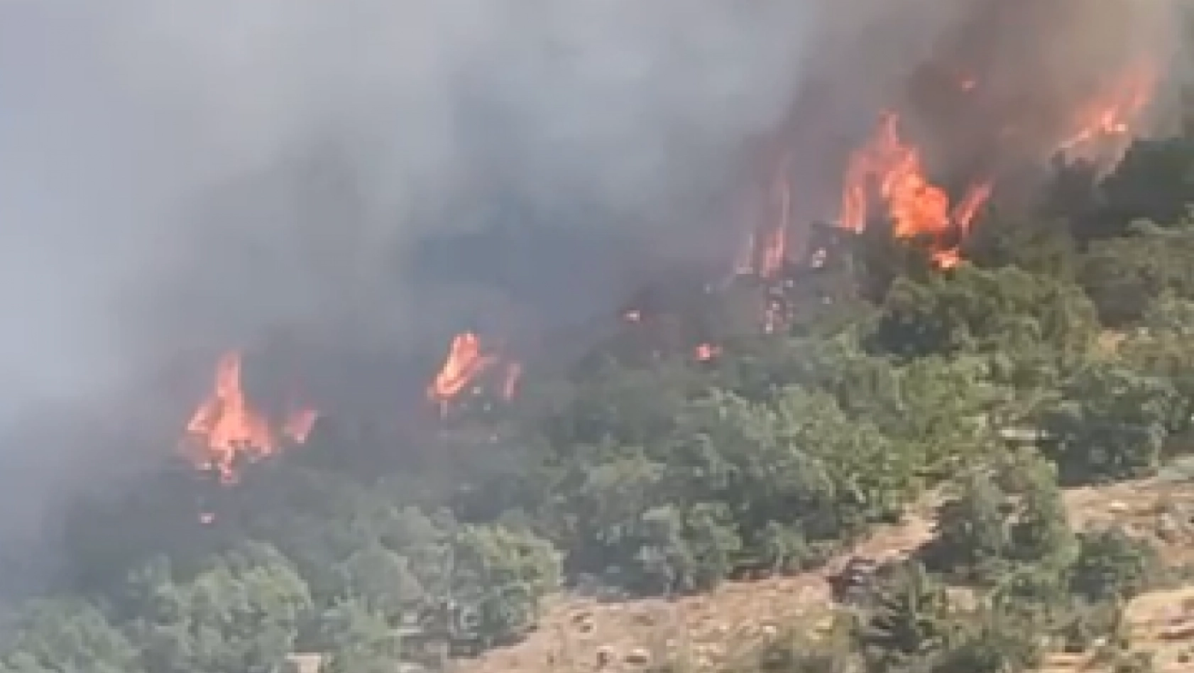 Doğanyol Burç Mahallesi'nde Orman Yangınına Müdahale Ediliyor