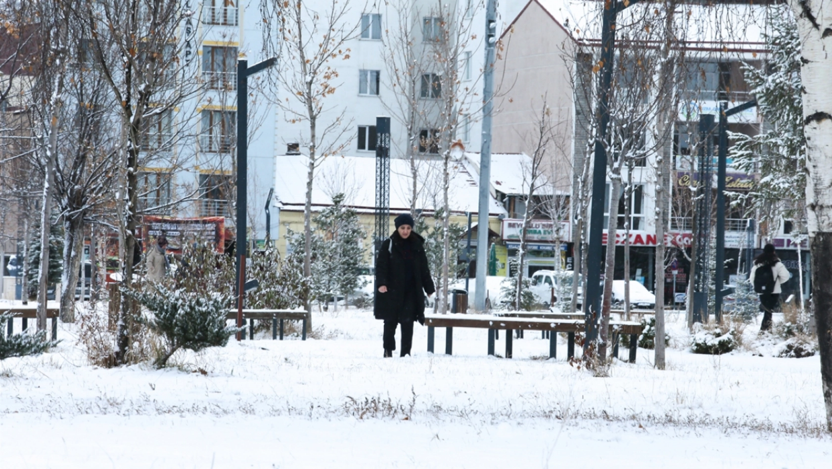 Doğu Anadolu'da 5 ilde kar yağışı devam ediyor