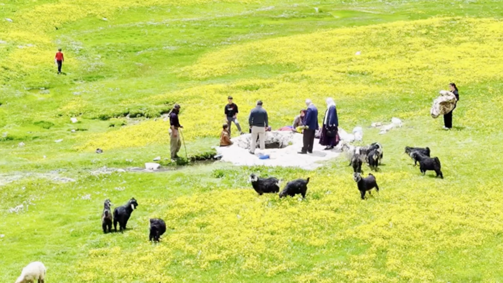 Havanın ısınmasıyla Van'ın yaylalarındaki hareketlilik arttı