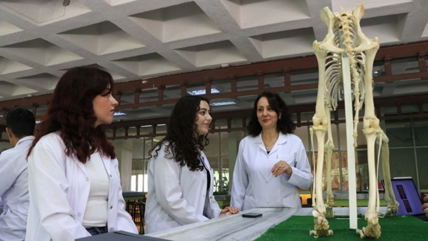 Hayvan İskeletlerine Dijital Hayat: Yapay Zekâ Devrede