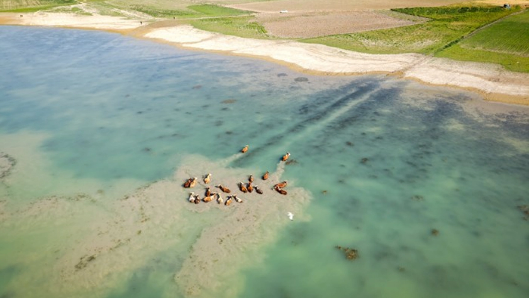 Karakaya Barajı'nda Su Seviyesi Düştü: Eski Yerleşimler Gün Yüzüne Çıktı