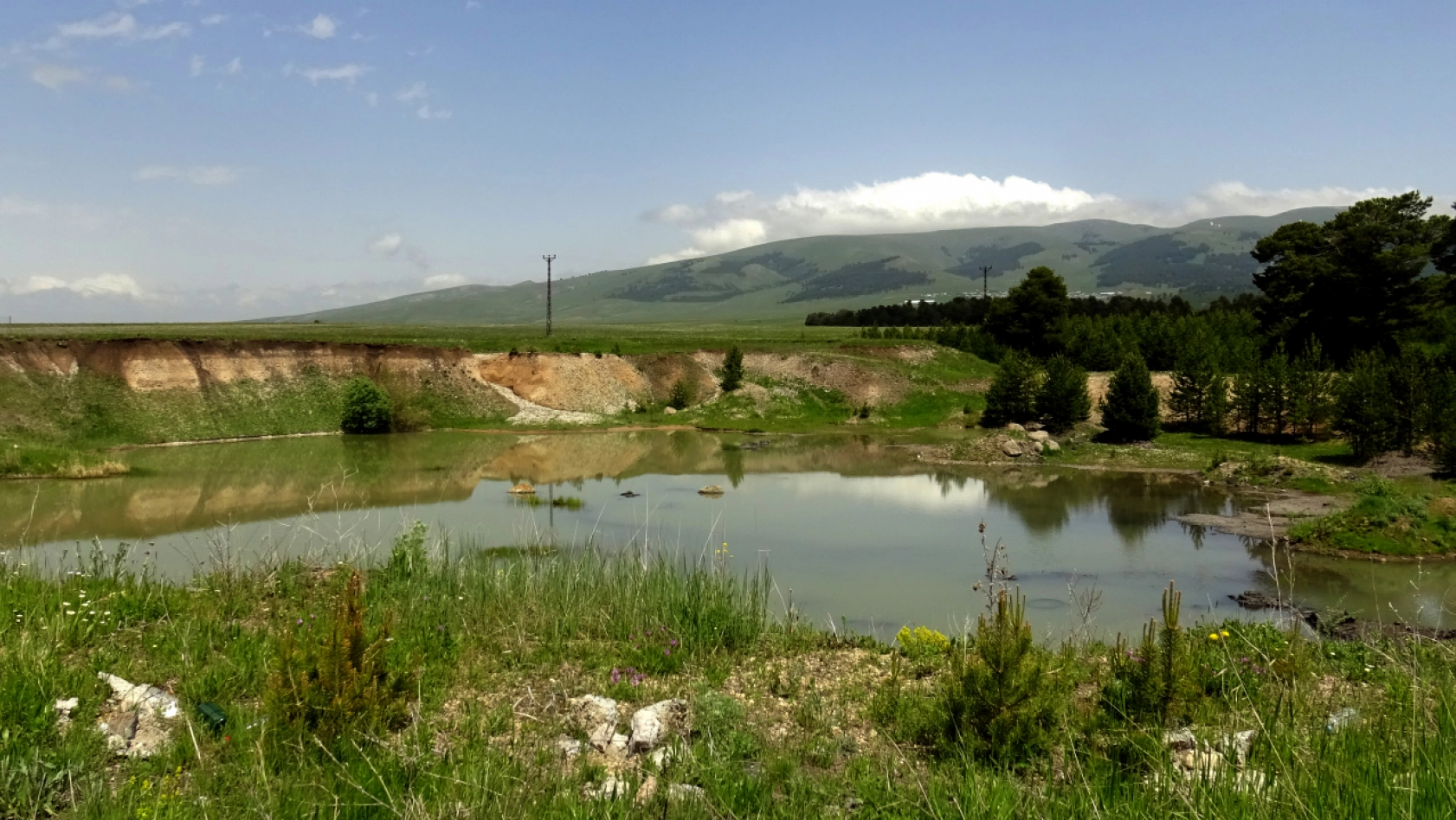 Kars'ta yumurtadan çıkan angutlar doğayla buluştu