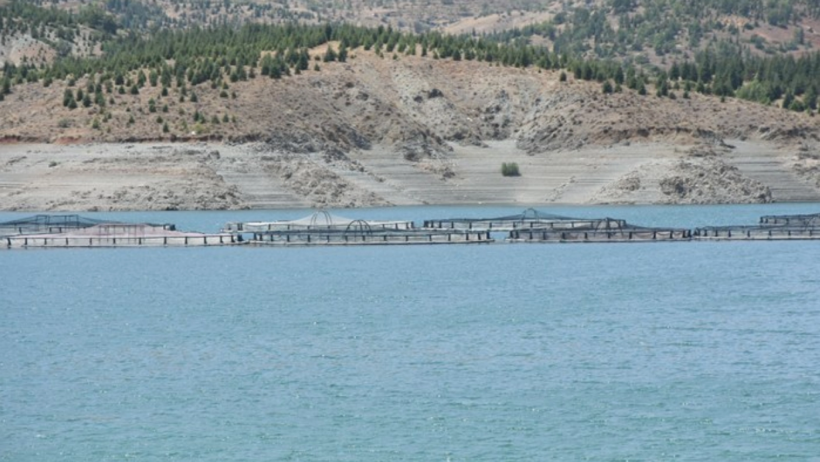 Malatya'da Alabalık Üretimi Yükselişte: Yıl Sonu Hedefi 16 Bin Ton