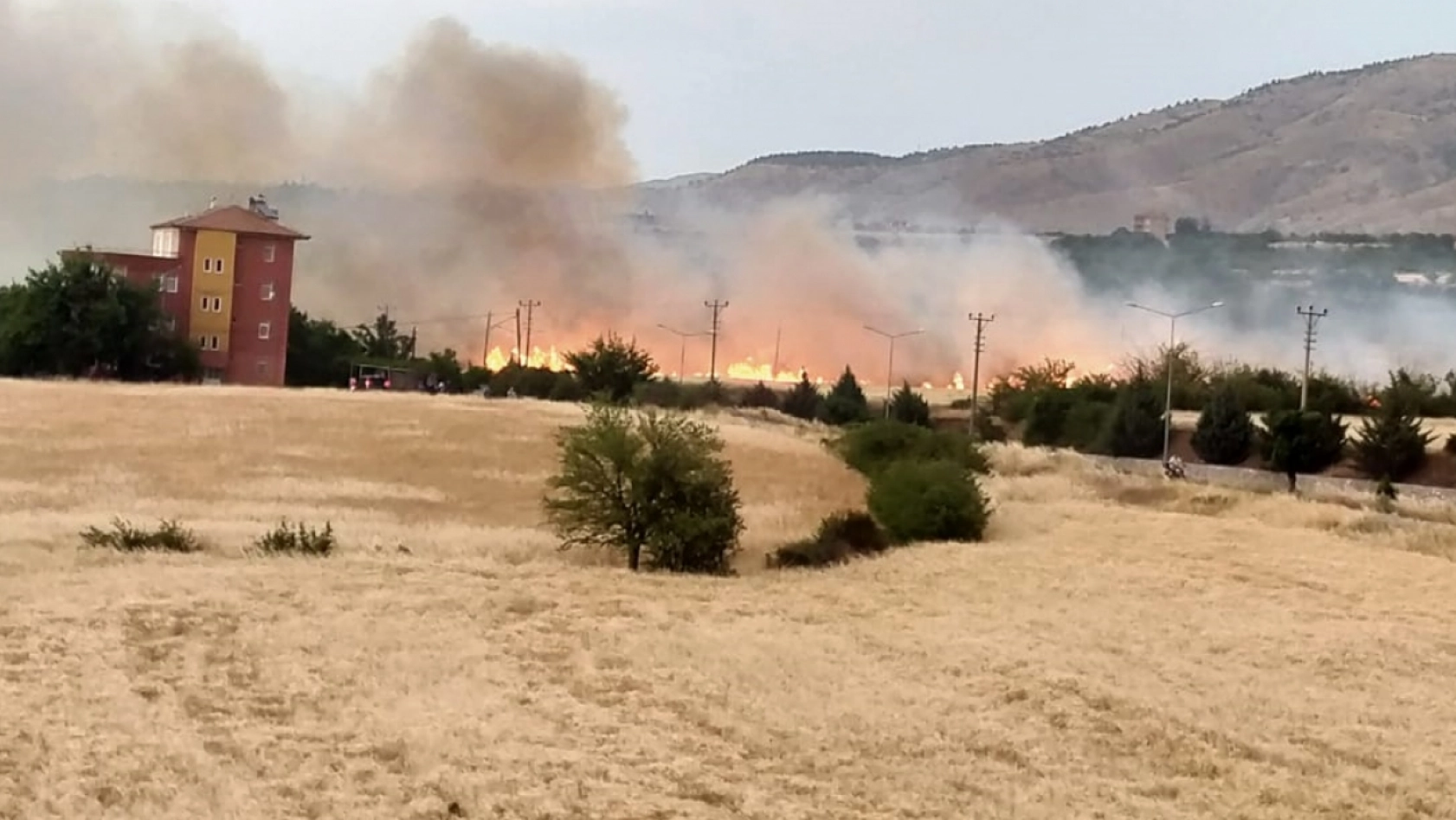 Malatya'da otluk alanda çıkan yangın söndürüldü