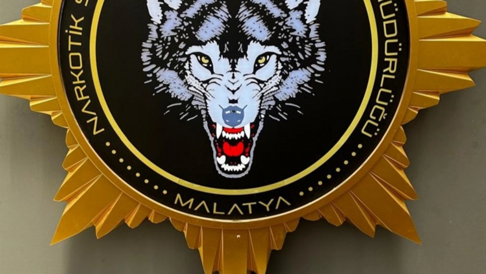 Malatya'da uyuşturucu operasyonunda 21 şüpheli yakalandı