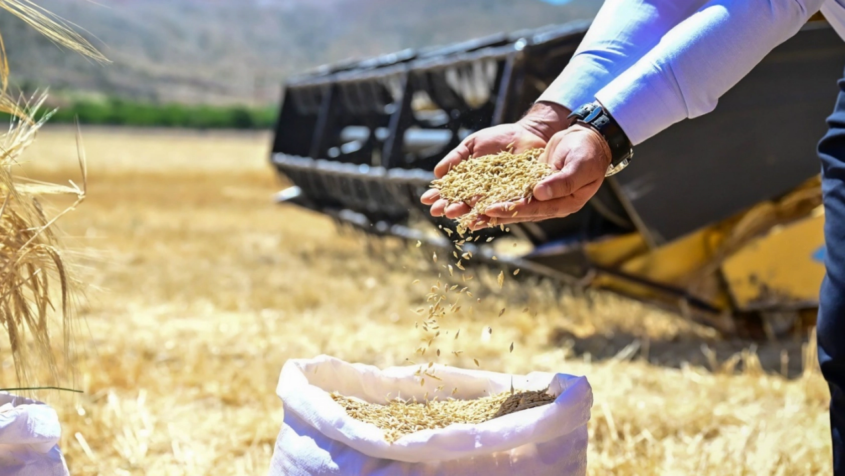 Tarıma Bir Destek Daha: Ücretsiz Arpalar Dağıtılacak