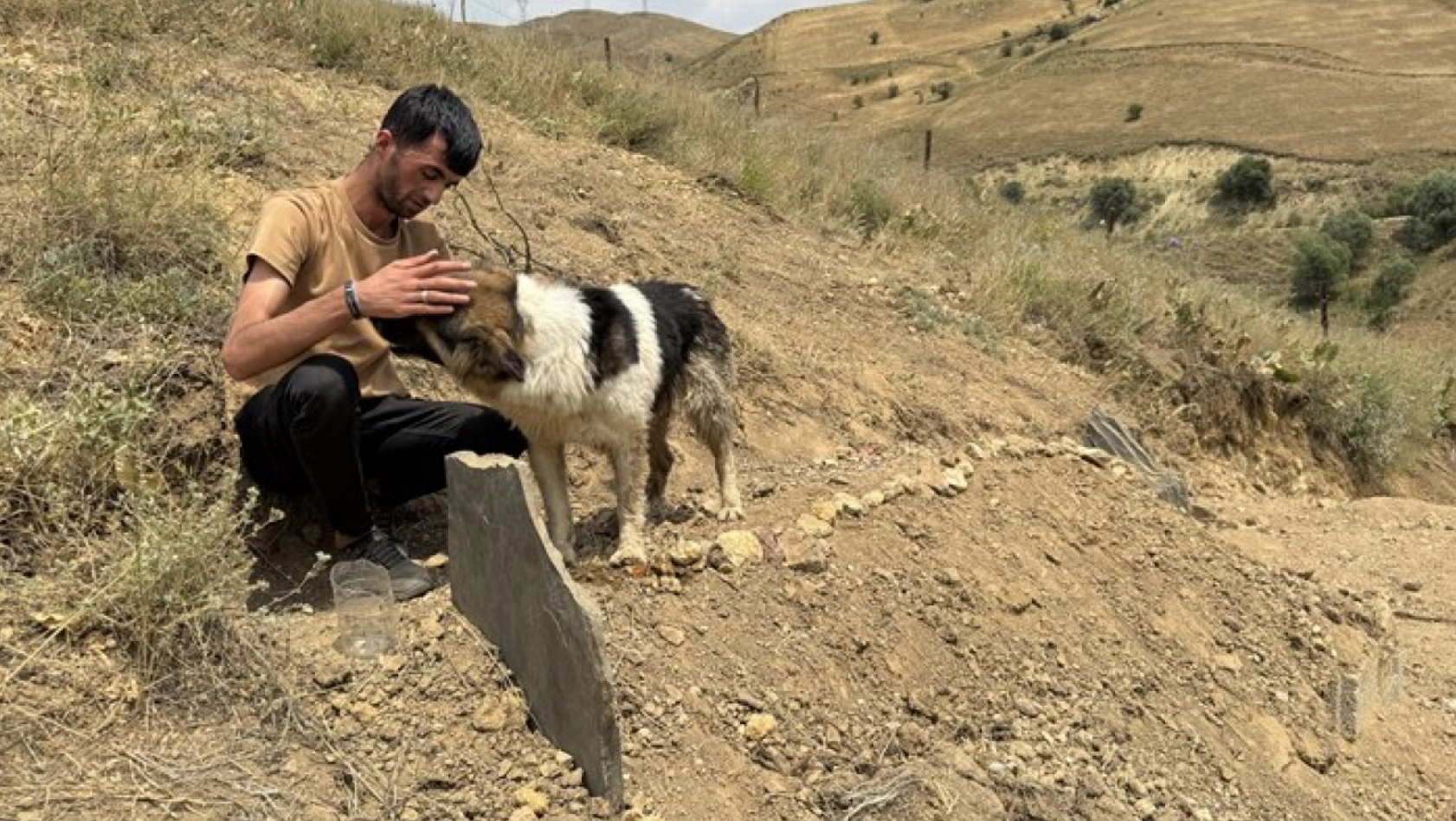 Yıllarca Birlikte Yaşadılar, Şimdi Mezar Başında Ayrılmıyor