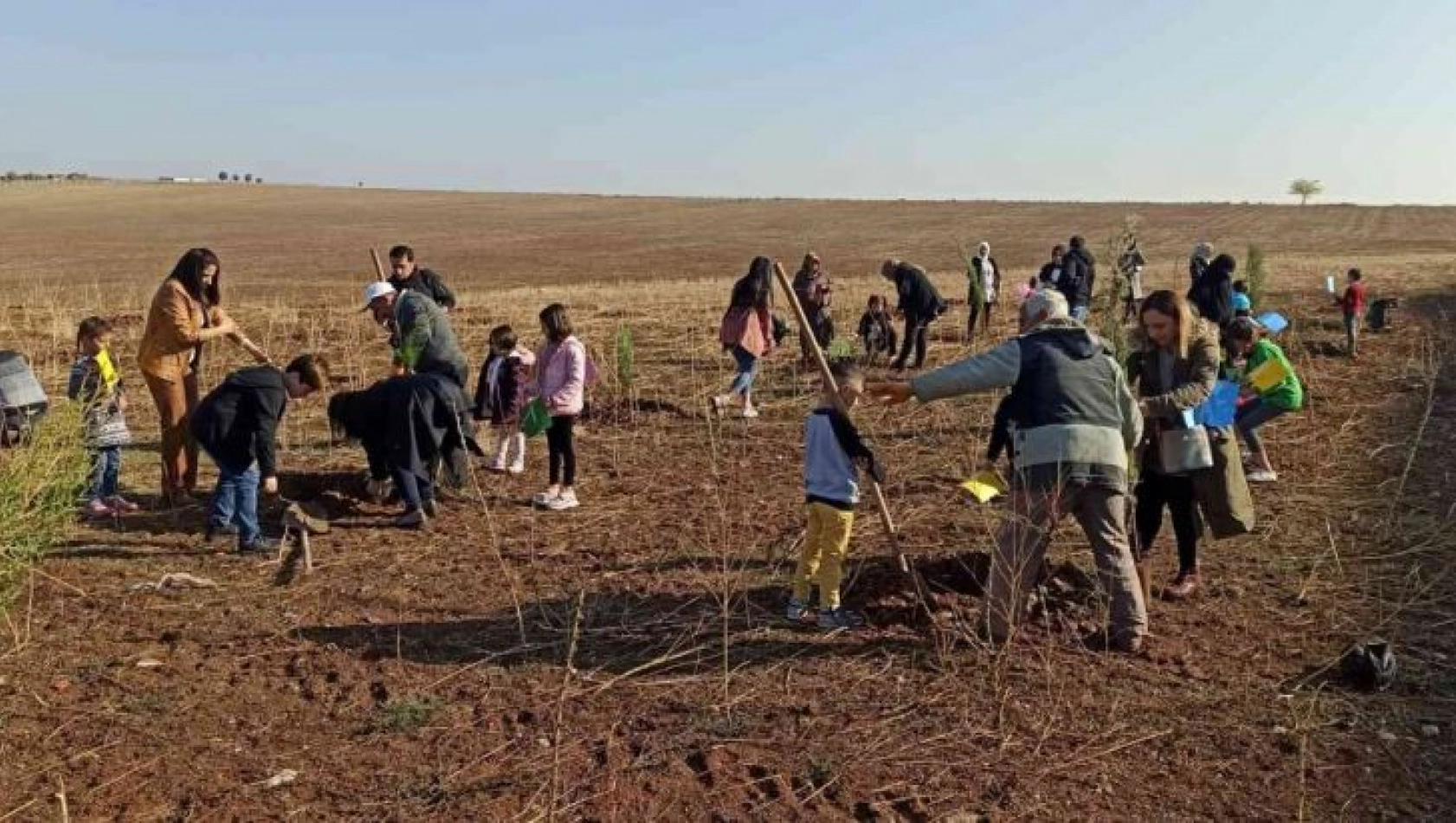 Dicle Üniversitesi 750 ağaç ile yeşillendirildi