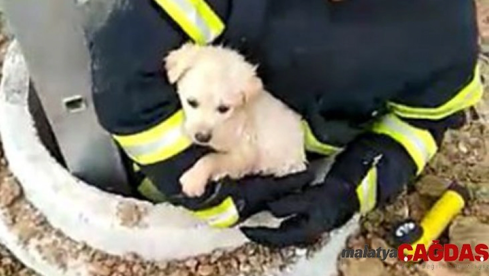 Kuyuya düşen köpeği itfaiye kurtardı, o anlar kameraya yansıdı