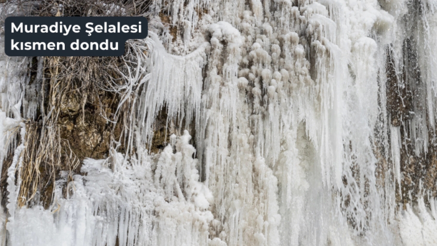 Van'daki Muradiye Şelalesi kısmen dondu