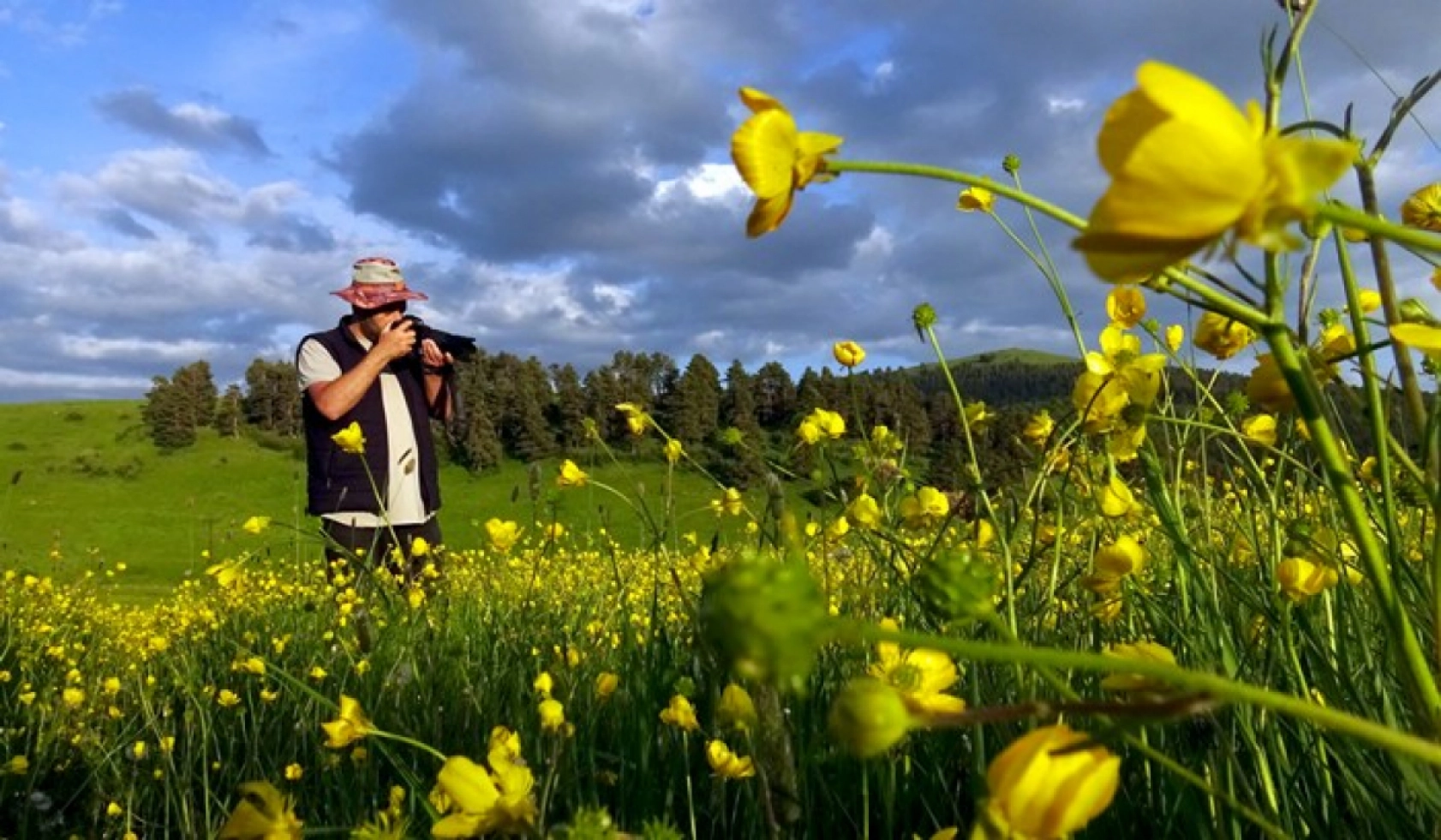Kars'ın yüksek kesimleri rengarenk çiçeklerle kaplandı