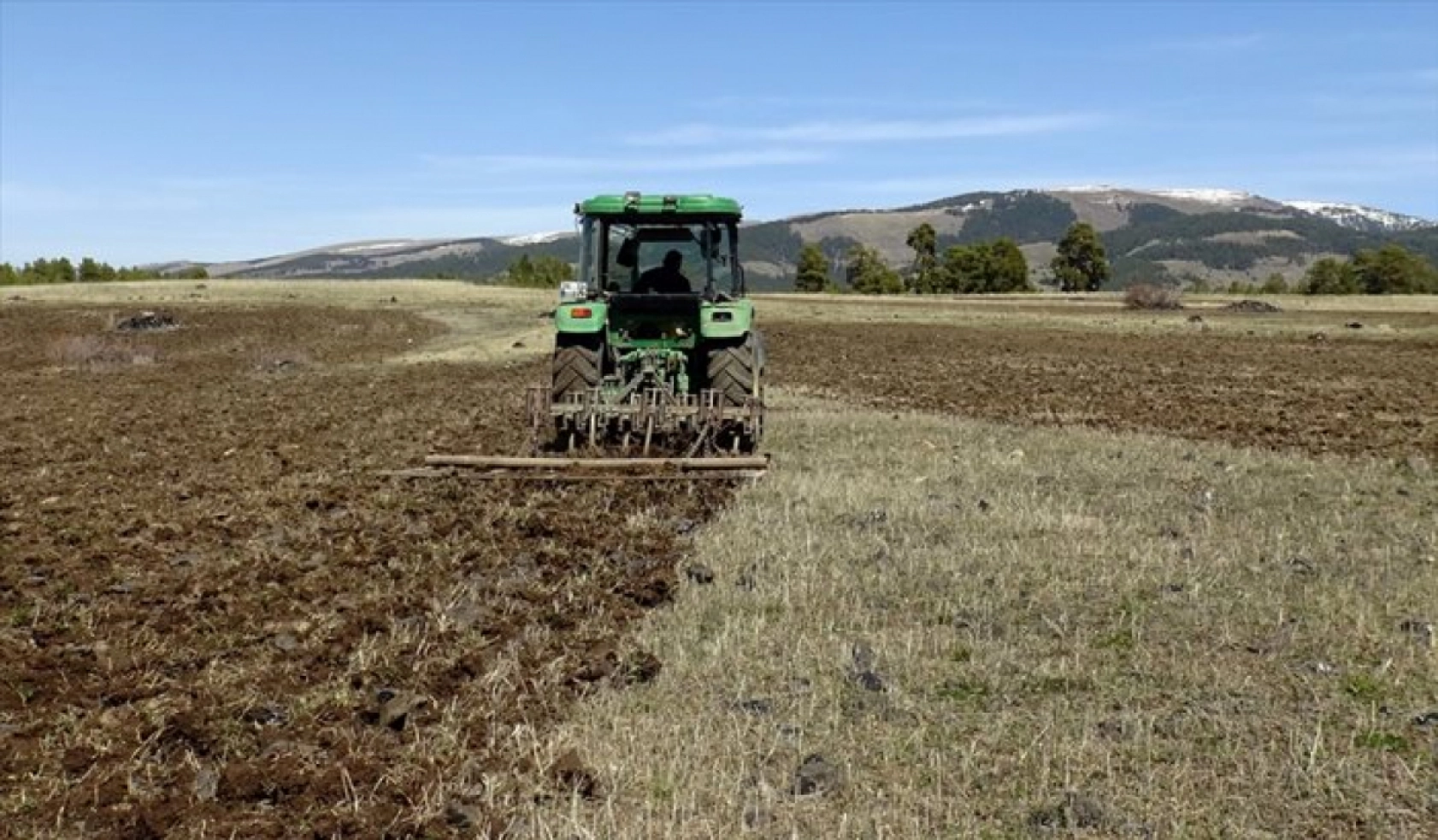 Havaların ısınmasıyla Sarıkamış'ta baharın güzellikleri ortaya çıktı