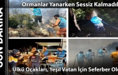 Ormanlar İçin Tek Yürek: Ülkü Ocakları Sahada