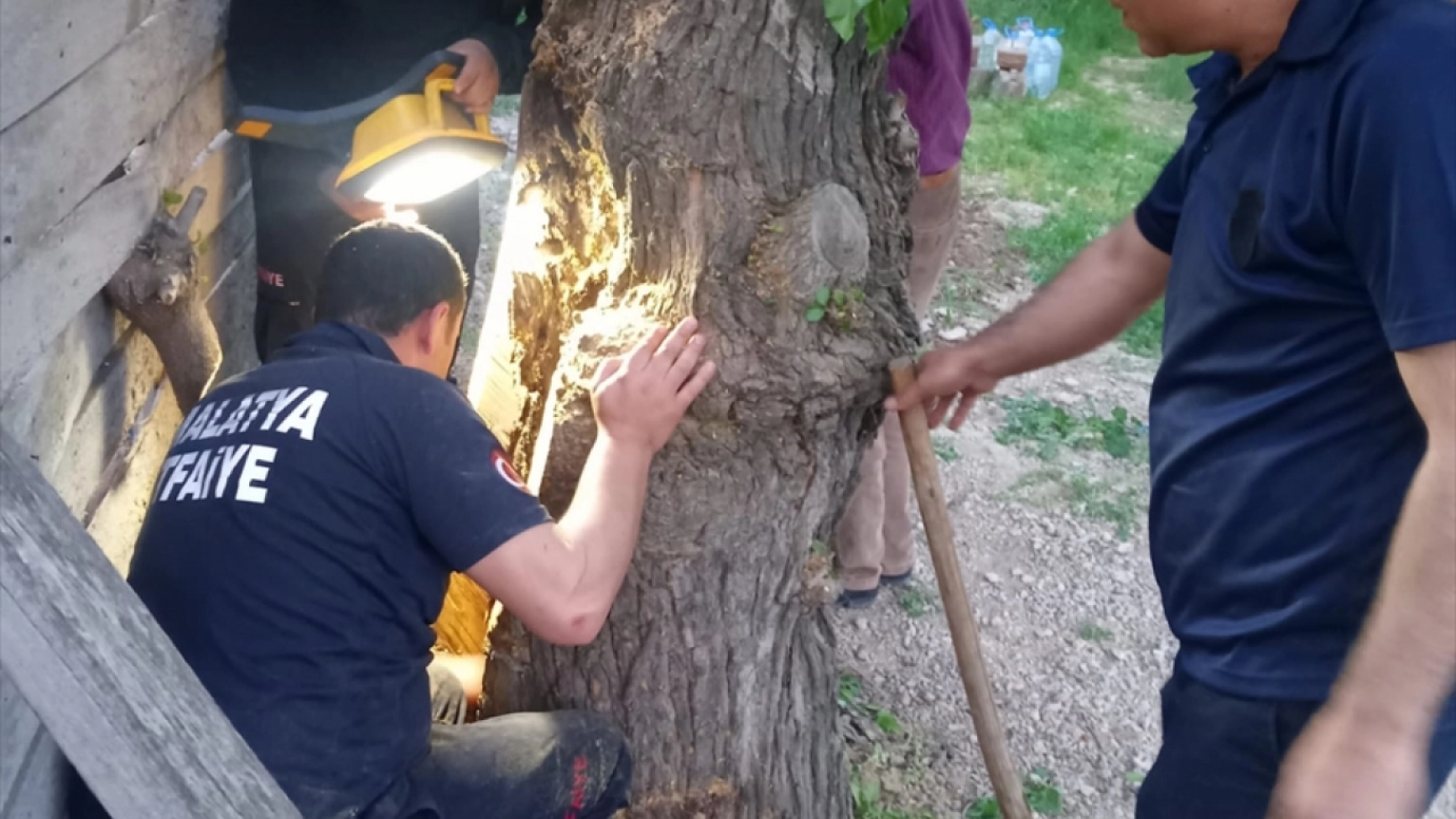 Ağaç kovuğuna sıkışan yavru yediyi itfaiye kurtardı