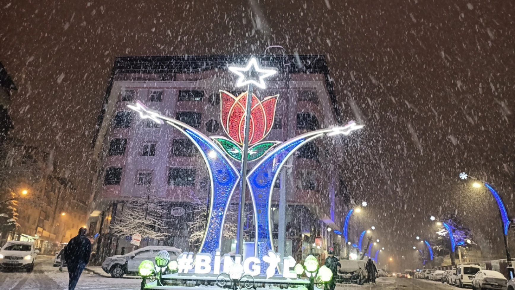 Bingöl'de yoğun kar yağışı etkili oluyor