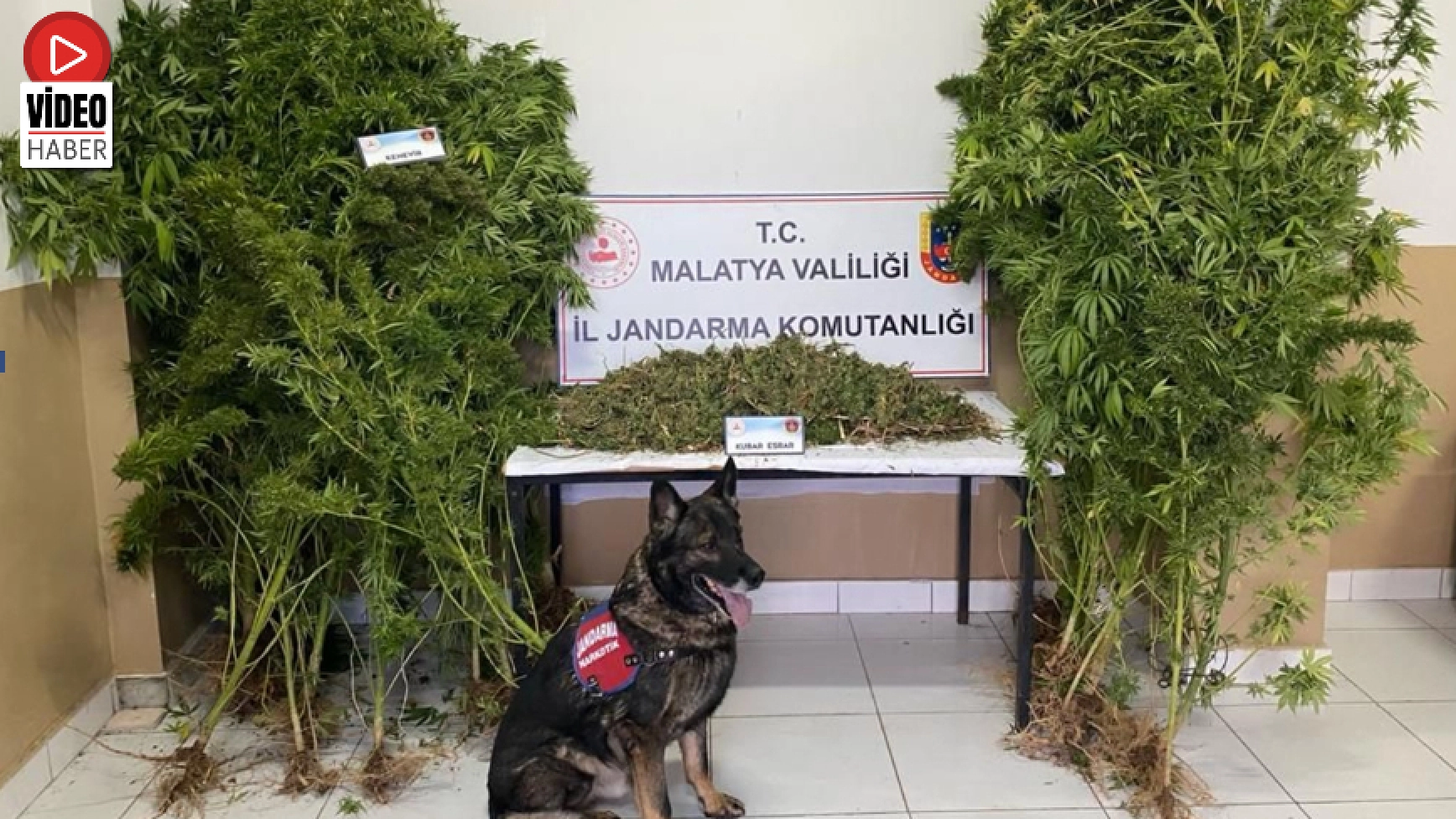 Uyuşturucu operasyonunda 2 zanlı tutuklandı