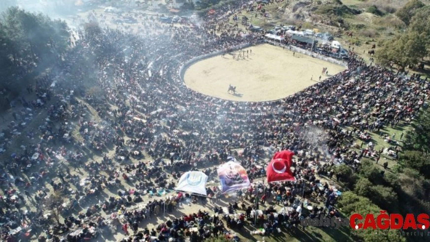 38. Uluslararası Devecilik Festivali'ne binlerce kişi akın etti