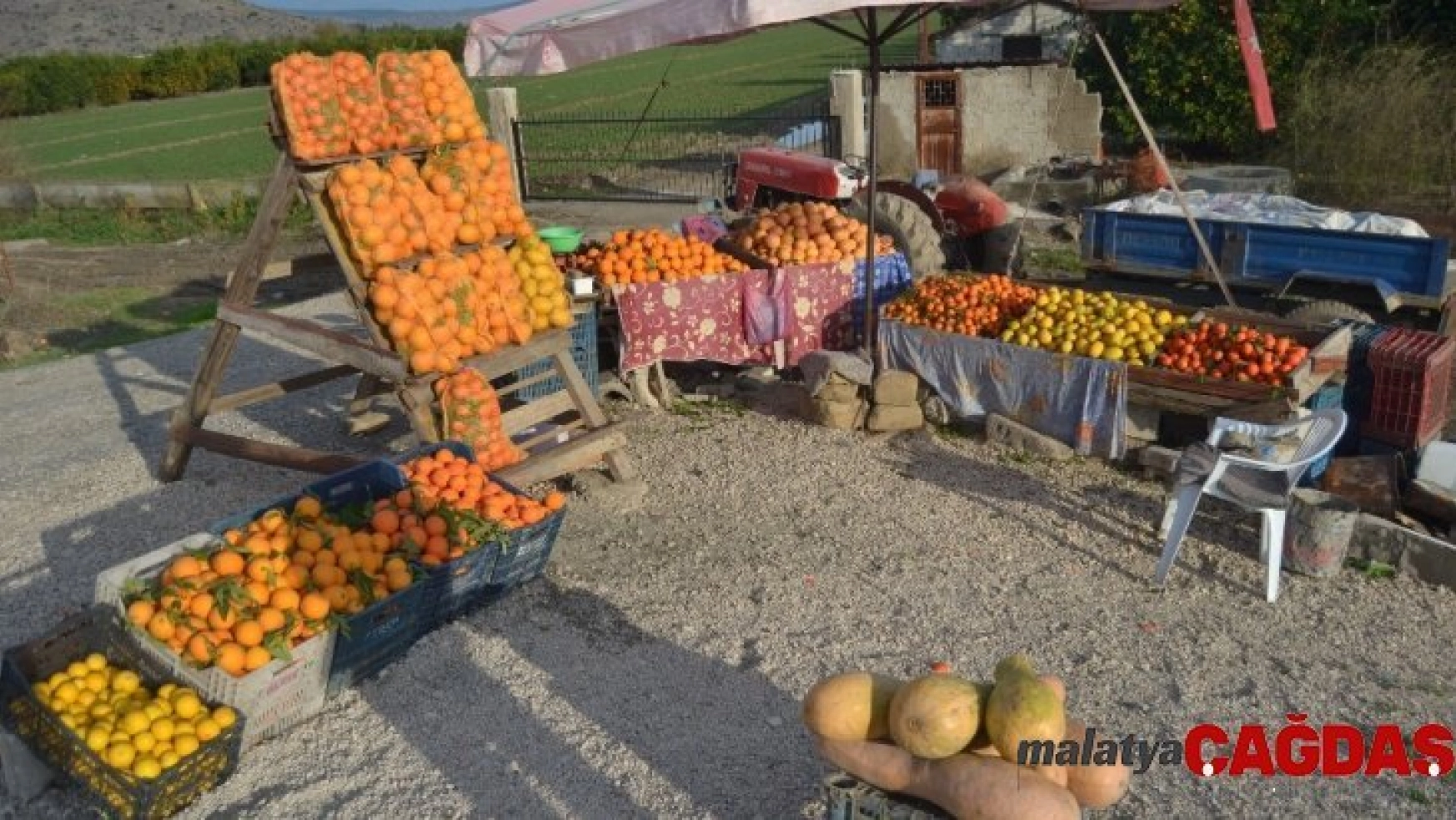 Adana'dan hediyelik portakal
