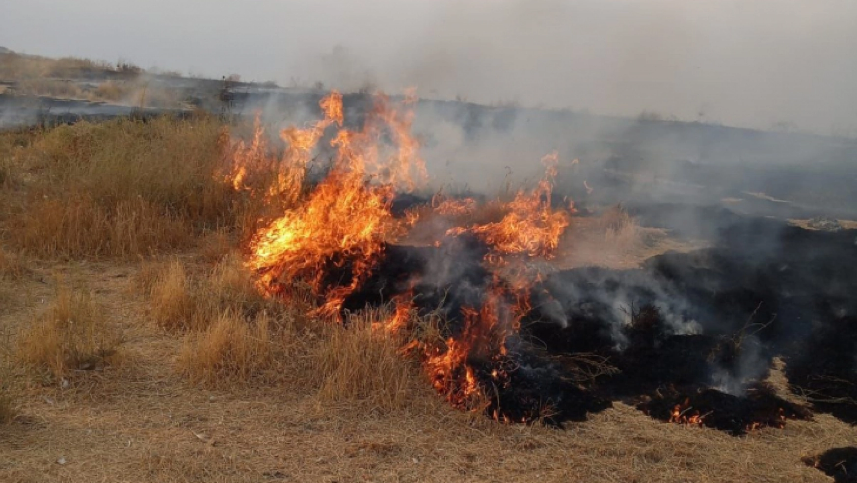 Adır Adası'ndaki yangın bugün tekrar başladı