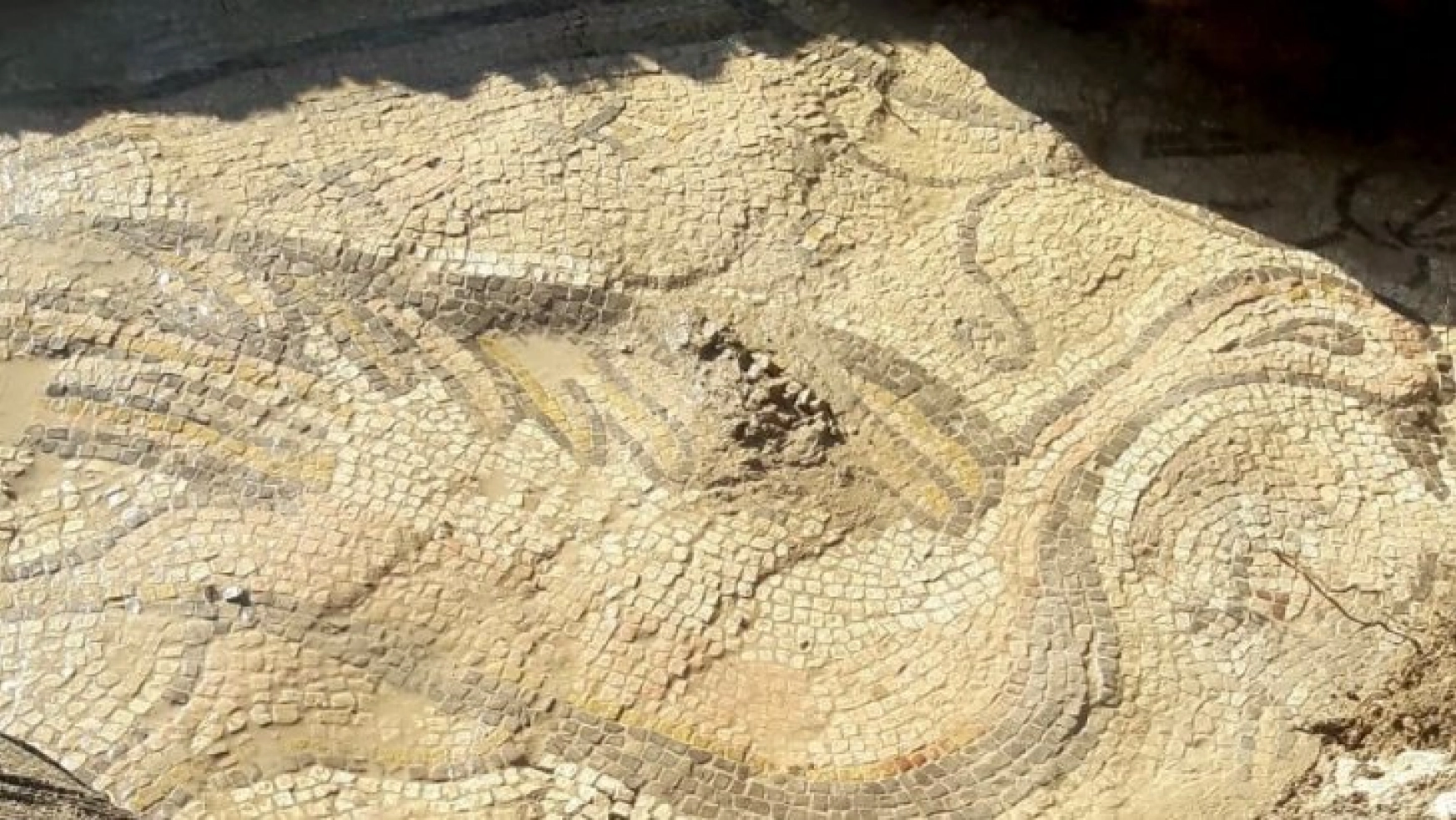 Adıyaman'da kuş figürlü mozaik bulundu