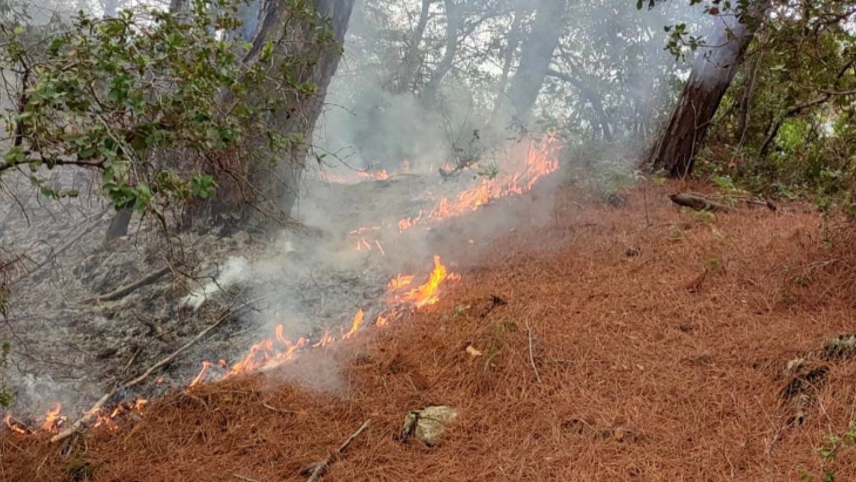 Amanos Dağları'na düşen yıldırım orman yangınına neden oldu