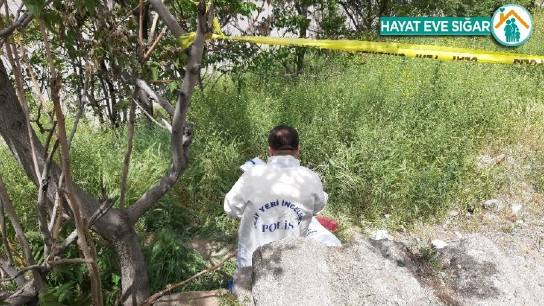 Ankara'da ağaçlık alanda yeni doğan bebek cesedi bulundu